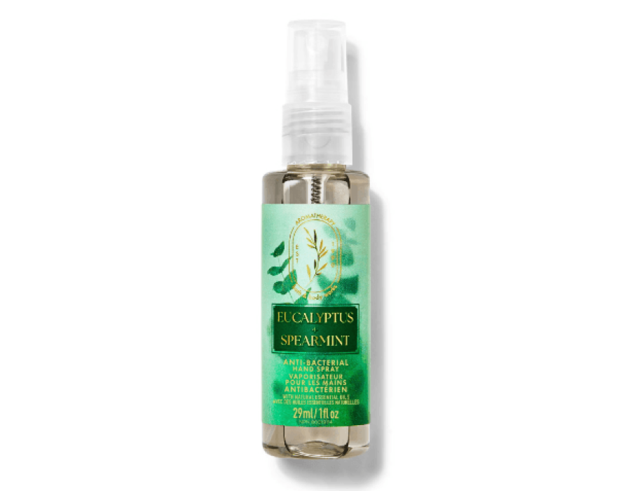 Bath and Body Works Hand Sanitizers Price in UAE - 2026